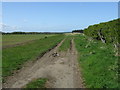 Footpath to Spitalford in Craster