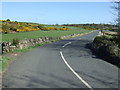National Cycle Route 1 near Craster in NE66 3TT