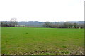Fields on Berry Lane in EX13 5UT