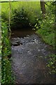 Olchon Brook/Nant Olchon, near Longtown, Herefs in HR2 0LG