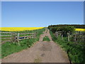 Farm track near The Brunt in EH42 1SJ