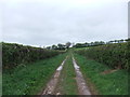 Track near Bennethead in CA11 0LT