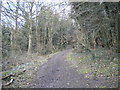 Bridleway through Cottagers Hill Spinney in NG11 0AU
