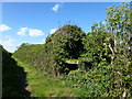 Overgrown pillbox and footpath off Ryhall Road in Ryhall & Casterton Ward