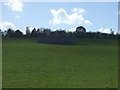 Ruin in farmland near Craster Tower in NE66 3FN