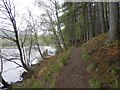Footpath by Loch Faskally in PH16 5JX