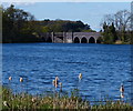The southern end of Swithland Reservoir in LE7 7SF