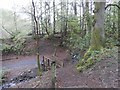 Path and footbridge at Faskally in PH16 5LD