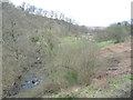 The valley of the Murk Esk, below Bradley Wood in YO22 5LL