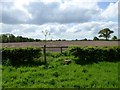 Field on the Peover estate in WA16 8UA