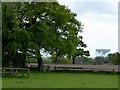 Trees and field on the Peover Estate in WA16 9HJ