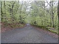 Path in Pass of Killiecrankie in PH16 5LH