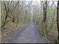 Footpath in Pass of Killiecrankie in PH16 5LH