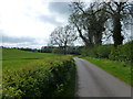 Lane near Irnham in Irnham