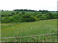 Fields South of Marlborough in SN8 4DP