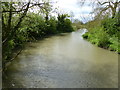 The former Newbold Loop off the Oxford Canal in CV21 1EF