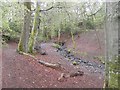 Footbridge over burn in Faskally Woods in PH16 5LA