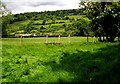 Farmland near Llanwenarth in NP7 7EW