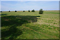 Open grassland above Chippenham Fen in CB7 5NX