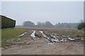 Muddy field by Station Rd in NR18 9HQ