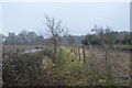Footpath by the Mid Norfolk Railway in NR18 9QE