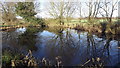 Pond near Fields Farm, Osbaston in CV13 0DS