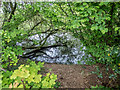 Pond near Driveway, Trent Park, Cockfosters, Hertfordshire in EN4 9TT