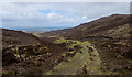 Heathery hill slopes above estate road on Beinn Bhreac in IV55 8GX