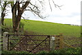 Farmland near Castle Douglas in DG7 1GD