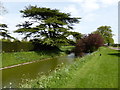 Moat at Kentwell Hall in CO10 9BA