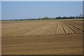Furrowed field near Fordham in CB7 5LE