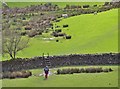 Walker and stile, Loughrigg Tarn in LA22 9HF