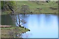 The shore of Loughrigg Tarn in LA22 9HF
