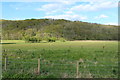 Farmland & Woodland near Creetown in DG8 7DQ