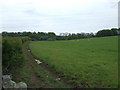 Grazing beside the A6124 in EH22 2PW