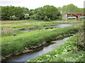 Marshland by the River Ryton in S80 2EW