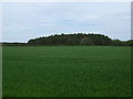Crop field off the B6363 in EH34 5BG