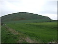 Crop field towards Traprain Law in EH41 4PX