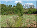 Drainage ditch near Fairoaks airfield in KT16 0QR