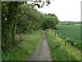 Footpath to Waukmill in KY7 6HP