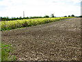 Crop fields by Cucumber Lane Farm in NR34 7BT