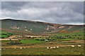 Cwmgarw Farm in the Preseli Hills in SA66 7SL