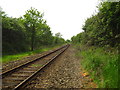 The East Suffolk Line near Campsea Ashe in IP13 0PZ