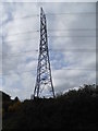 Pylon on Edgebarrow Woods, Owlsmoor in GU47 0UJ