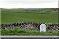 Milepost alongside the A515 in Hartington & Taddington Ward