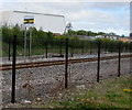 Distant signal sign alongside the railway near Ebbw Vale Town station in Ebbw Vale South Community