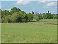 Rough grassland, Fairoaks airfield in KT16 0QR