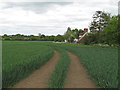 Tractor track in arable field near Great Tagley Farm, Stambourne in Stambourne
