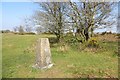 Triangulation pillar, Lambert's Castle in DT6 5QL