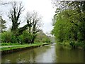 Kennet & Avon Canal, west of Avoncliff Aqueduct in BA15 2LP